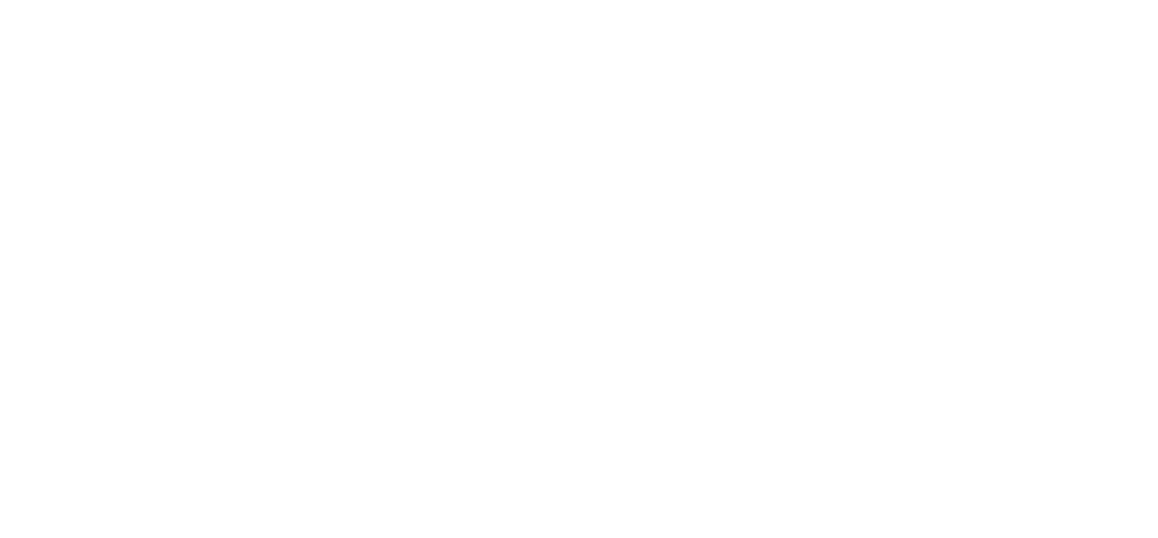 RL PRO FOTO